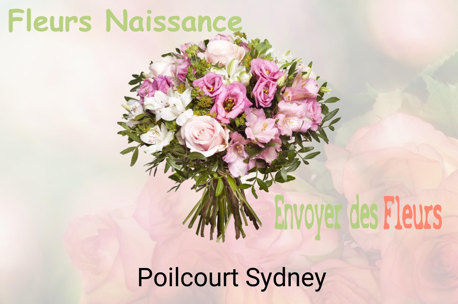 Bouquet de fleurs de naissance livré à Poilcourt-Sydney